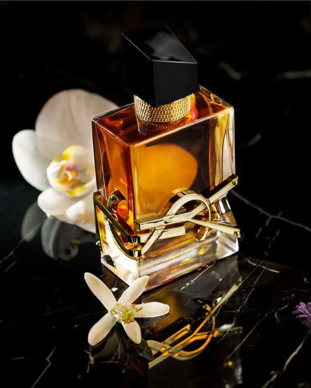 Libre Intense by YSL